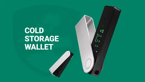 storage of wallet